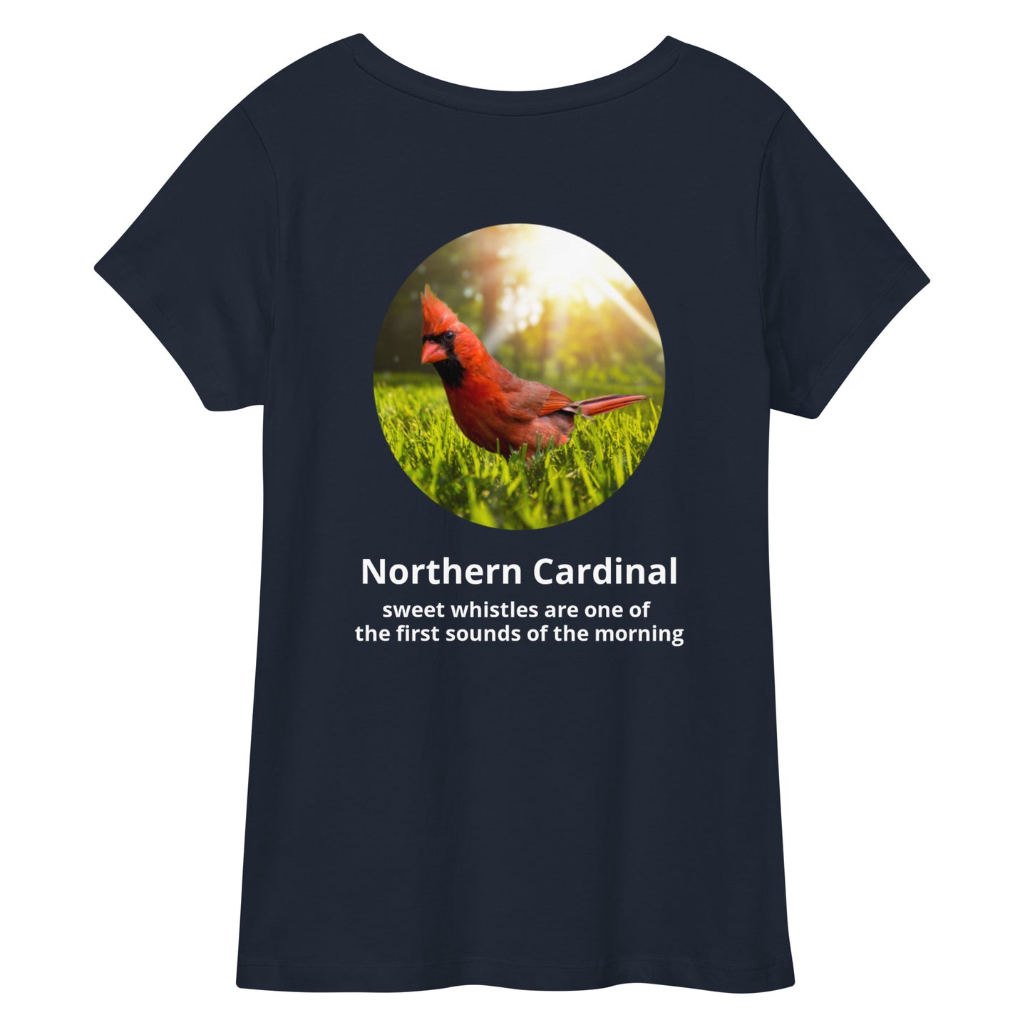Norther Cardinal Women’s fitted v-neck t-shirt